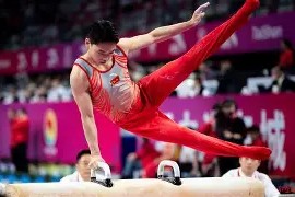 体操赛场再起风云：漠南鲨队队读秒绝平南城独角兽队，新援首秀制胜韧性比赛的样板的简单介绍-九游登录入口